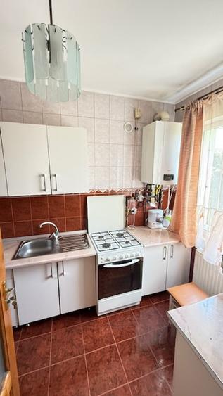 BAIA SPRIE - spre Cavnic Vila D+P+E 168mp + anexa cu teren 1526mp!