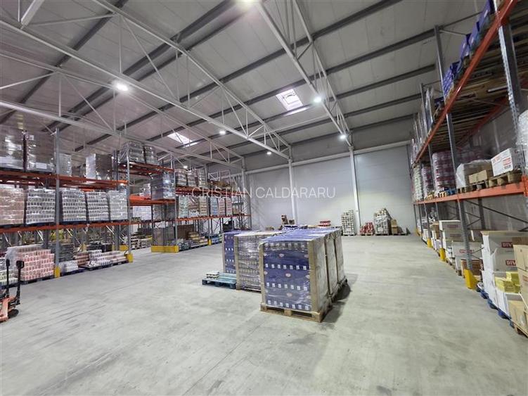 Vanzare depozit/hala/spatiu industrial Otopeni - Centura, Ilfov - 33