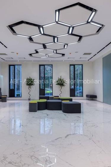 Herastrau Office Lux 357 sqm - 3