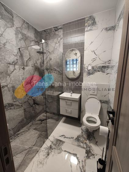 Casă individuală, 5 camere, 118mp, curte și garaj, zona Oașului - 10