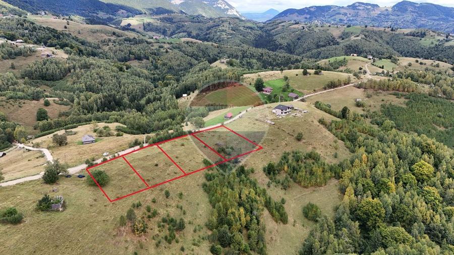 Comision 0%| Intravilan cu PUZ Șirnea –Fundata | PUZ |Priveliște 360°