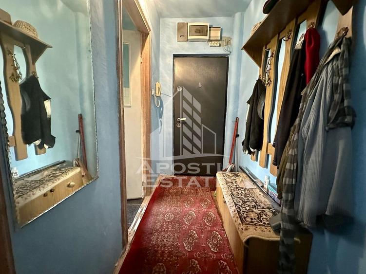 Apartament cu 2 camere de vanzare, etaj 2, zona Dambovita, Timisoara