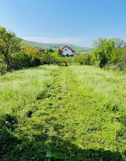 Casa cu 2 camere, 141 mp, 690 mp teren,  Petrestii de Mijloc