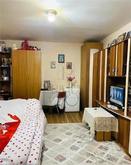 Apartament 1 camera-Centrala-Buziasului-Acoperis