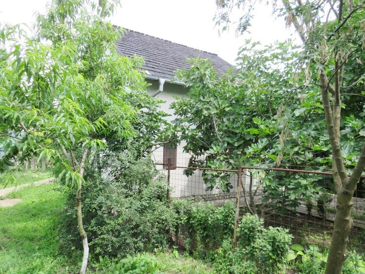 Vanzare 3 case moderne + 3 anexe si 2000 mp teren gradina, pomi in Tuzla la mare
