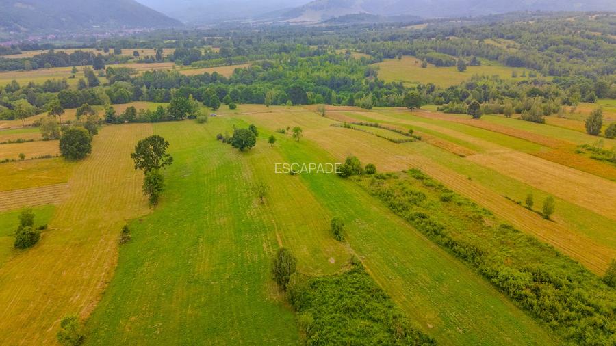 Teren 8439 mp , extravilan Sinca Noua, Brasov - 2