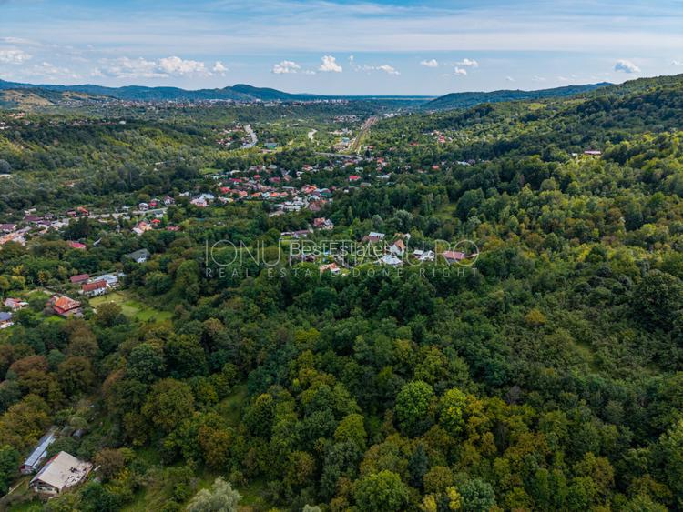 Teren 3.886 mp, Breaza - Podu Vadului, 30 m deschidere la asfalt - 7