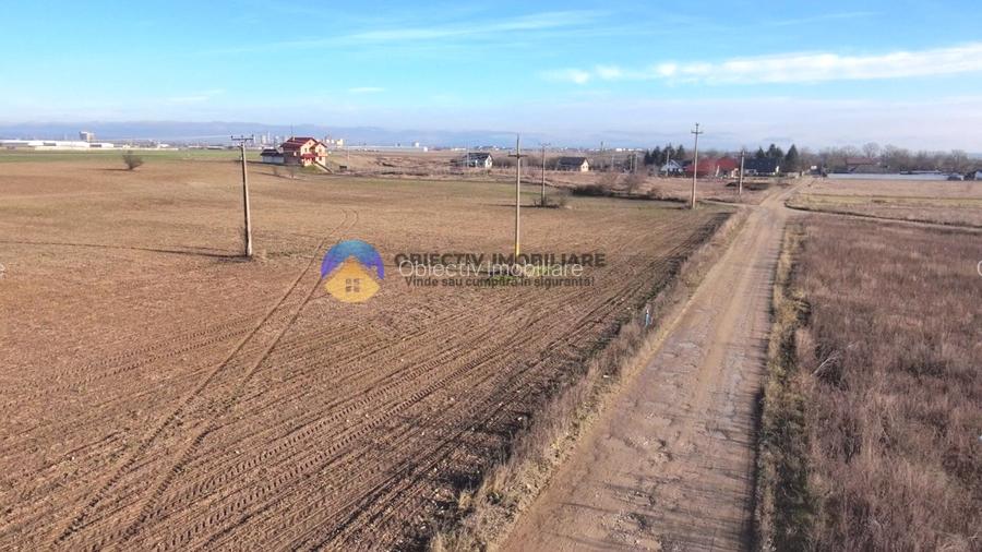 Teren investiție intravilan 3600 mp – Dumbrava Roșie - 6