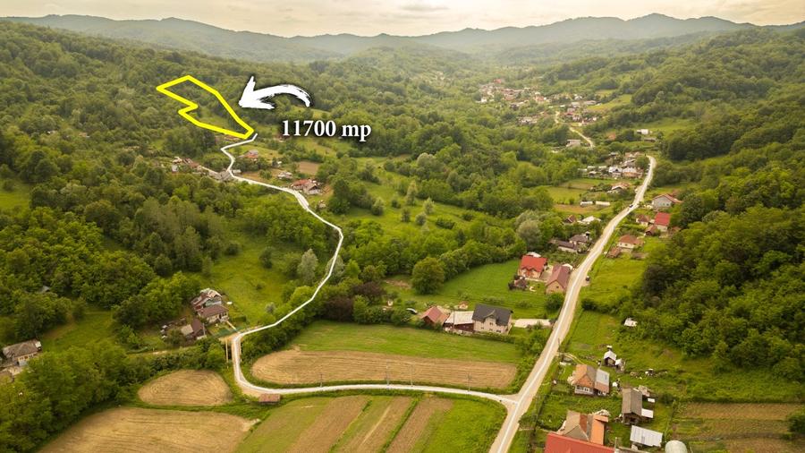Teren de 11700 mp în mijlocul naturii la 2 ore de București