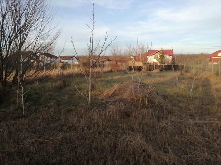 Teren constructie casa -1000 mp - Snagov, Strada Tudor Vladimirescu