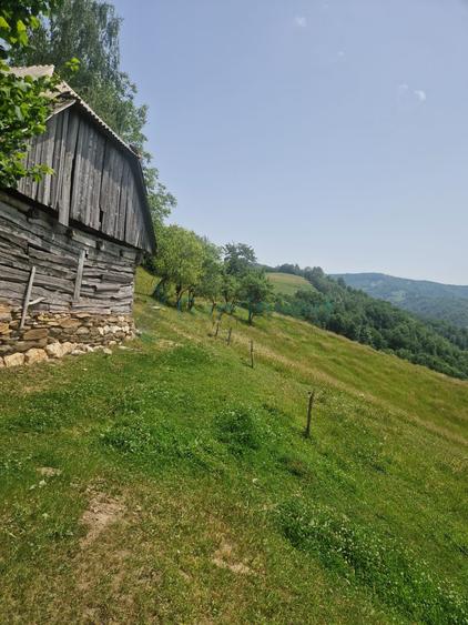 Teren intravilan de vanzare, 26.000 mp, Bulz, Bihor
