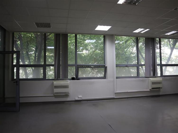 Spatiu pentru birouri, Complex Favorit