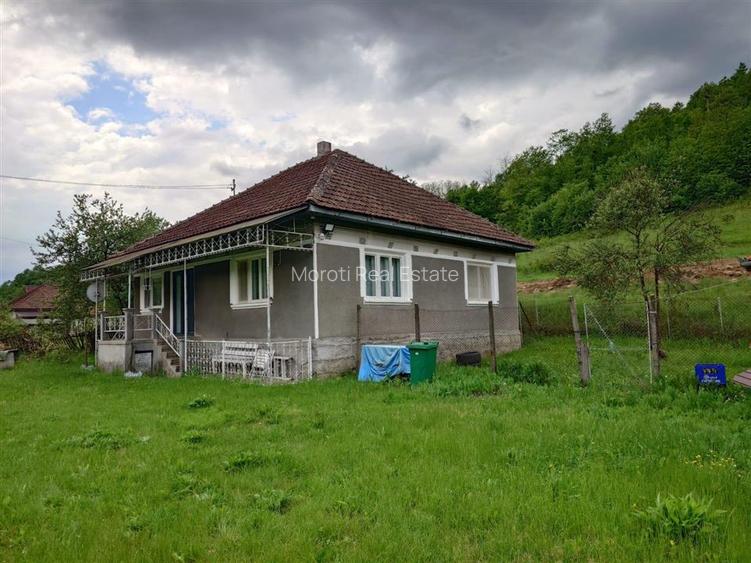 1.3 haTeren si  Casa Luncoiu de Jos - 9