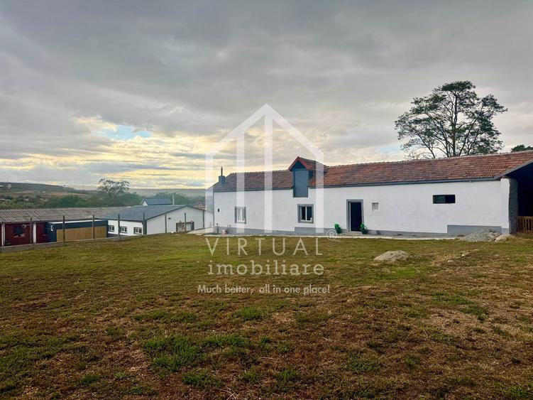 2 hale/depozite, 1850mp, deschidere 35m - Vestem