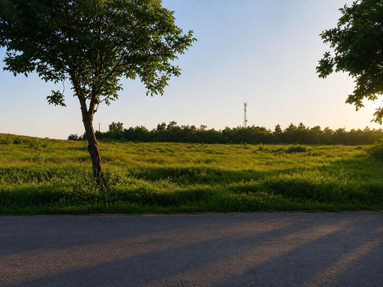 Vânzare teren intravilan – 9.500 mp, DN26 -Padurea Garboavele, Tulucesti
