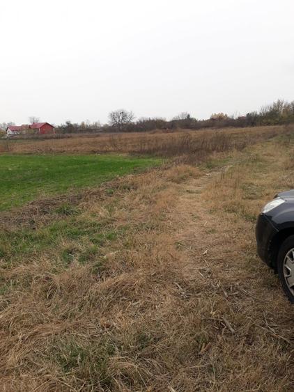 Vanzare teren intravilan Teghes -Domnesti Ilfov