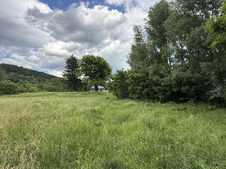 Teren plat-intravilan -3800 mp, cu pădurice și ieșire la râu!