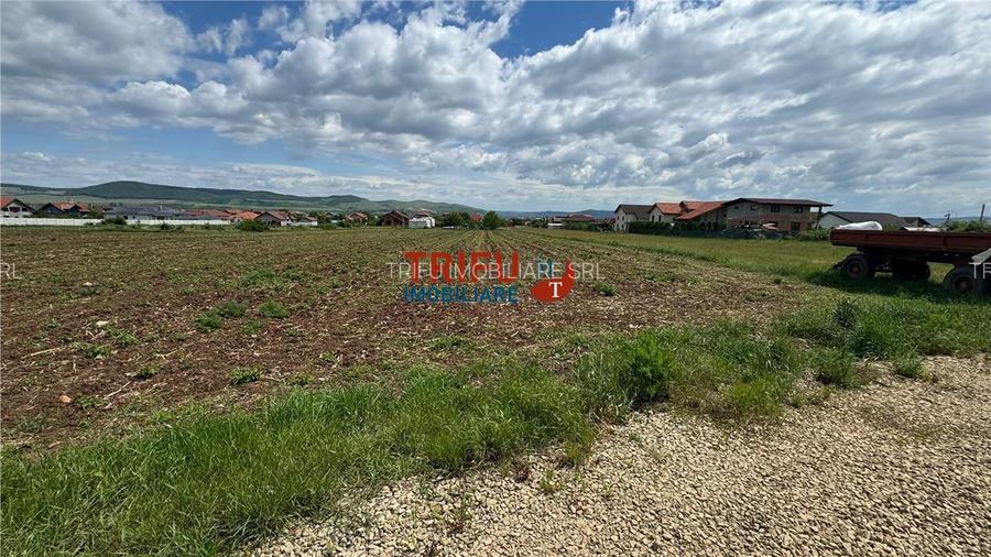 Teren Intravilan construibil de 2740 mp în Micești, Alba Iulia - 4