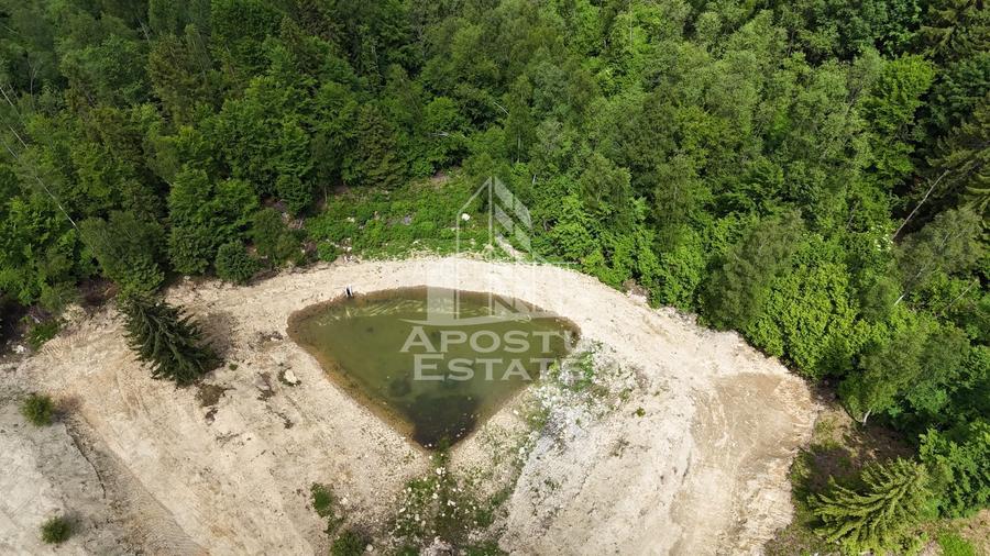 Oportunitate! Domeniu montan, cu lac propriu, oras Lupeni, Hunedoara - 40