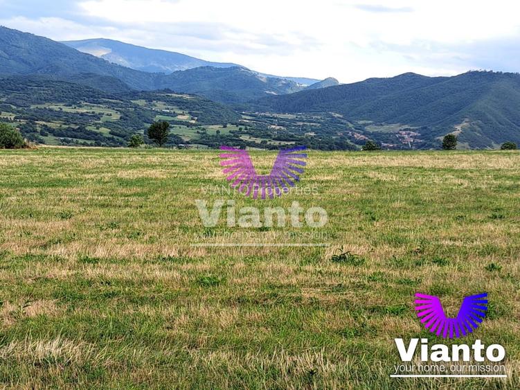 Oportunitate-Teren Extravilan 3100 mp cu vedere Panoramica-Tropinii Noi-Rasinari - 5