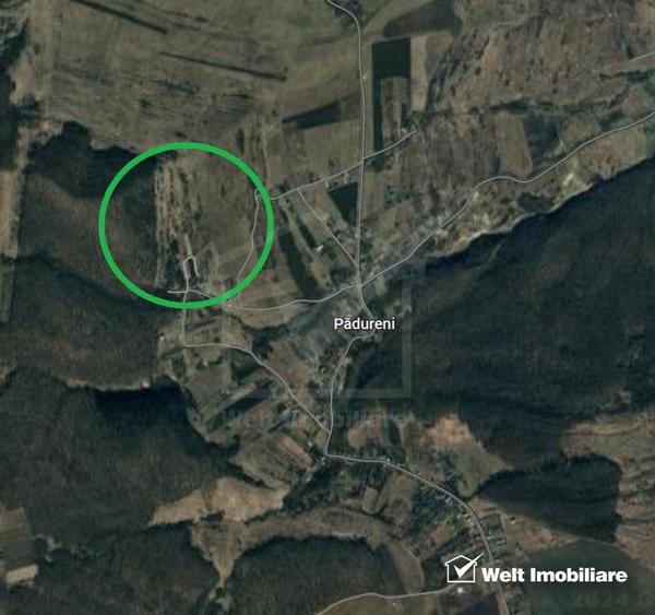 Teren extravilan, Padureni 20700 mp, alipit padure