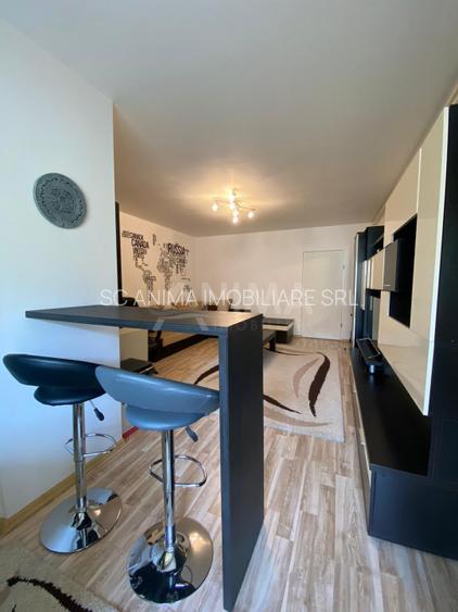 Apartament 1 cameră, 40 mp, etaj 1, Str. Viilor, mobilat și utilat - 6