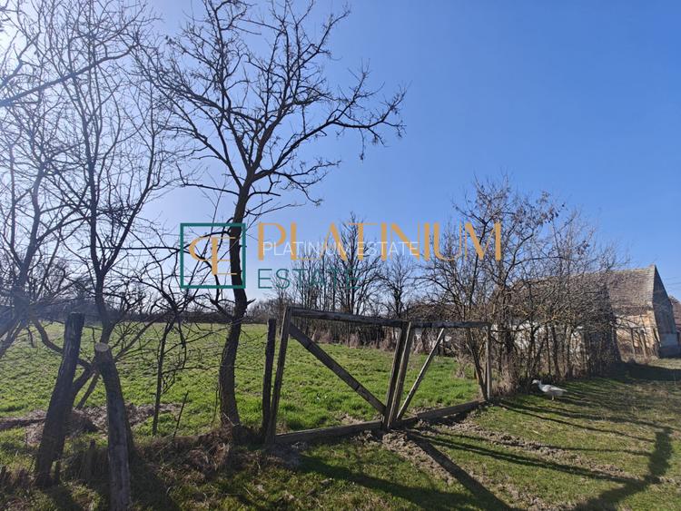 P4858 Casă bătrânească cu teren de 5.003mp, Cebza - 10