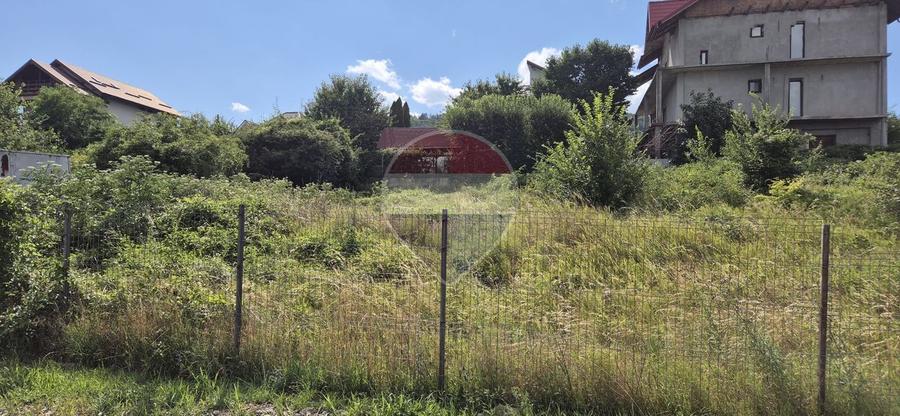 Teren casa 430 mp Piatra Neamt