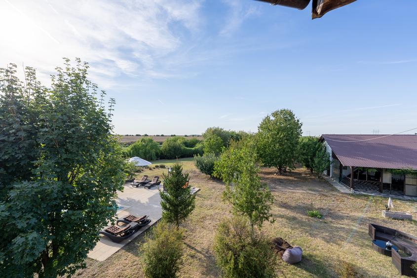 DOMENIU CU LAVANDA DE VANZARE