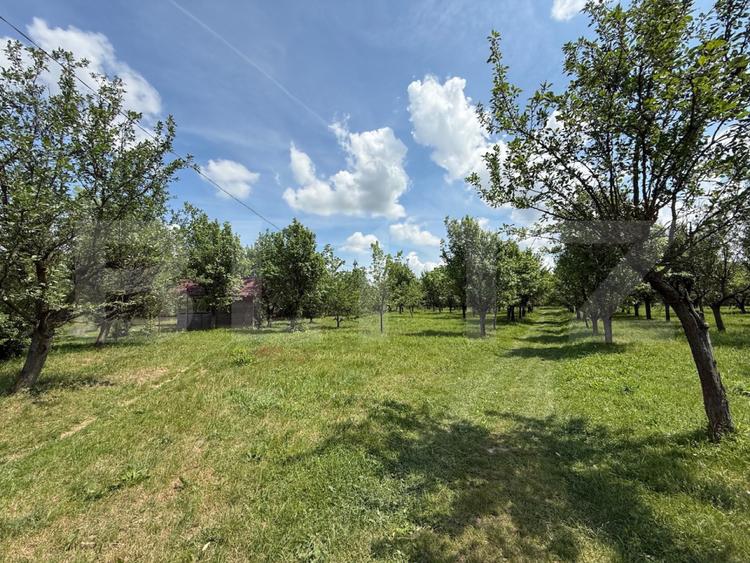 Teren cu livada si lac populat cu peste, 37.620 mp, zona Oar - Vetis