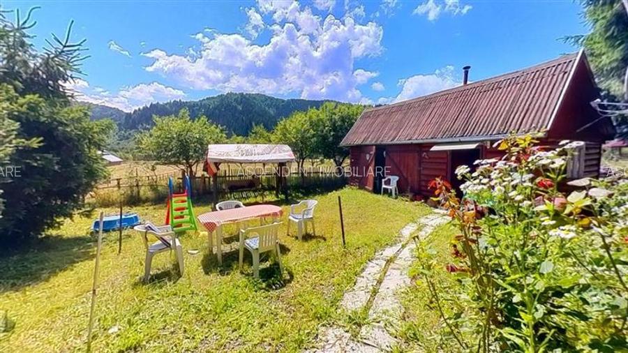 3D&FILM! Refugiu de vacanta, in pitorescul cadru: Lunca Bradului, Mures. - 21
