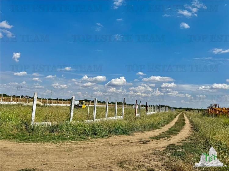 Teren 64 de parcele de vanzare / Teren de investitie / Frumusani / Calarasi