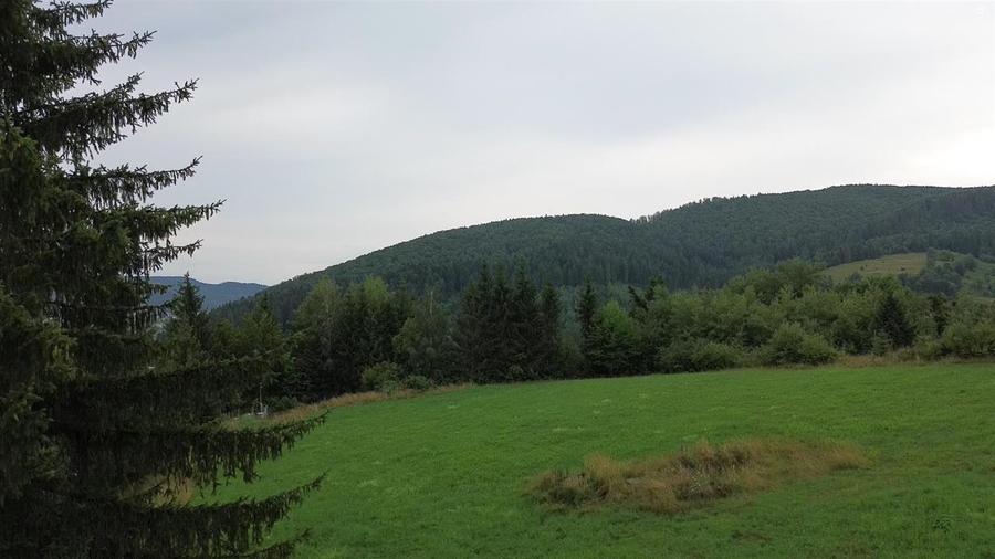 Teren 5023 mp In Bucovina Zona Manastirea Voronet De Vanzare 0727817187