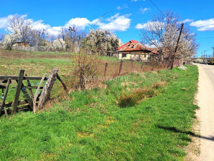 TEREN INTRAVILAN ȘI EXTRAVILAN POLOVRAGI - 10