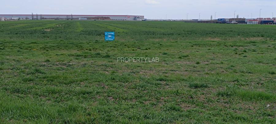 Teren intravilan 35.000 mp – Șag - 5