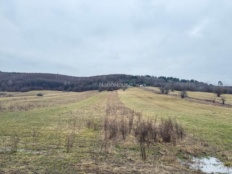 Teren extravilan 1500 mp de vânzare în Teliu – zonă liniștită - 2