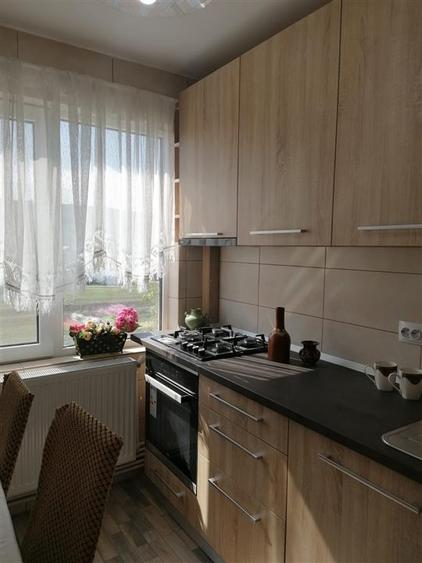 Apartament 2 Camere Alexandru cel Bun - 450 euro