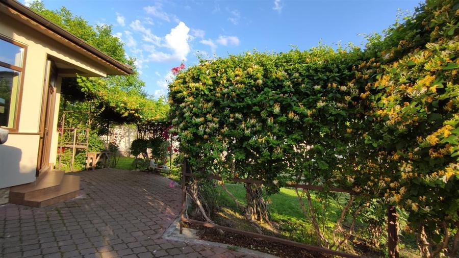 Vila individuala S+P+1+M - Matei Millo 810mp teren