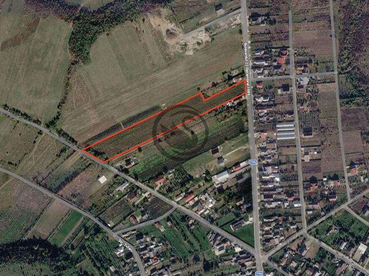 Teren intravilan de vanzare | 12.650 mp | Ghirdoveni | Comision 0%