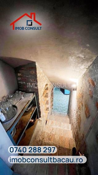 Două case de vânzare, teren de 2.700 mp și livadă | Secuienii Noi, zona Roman | - 9