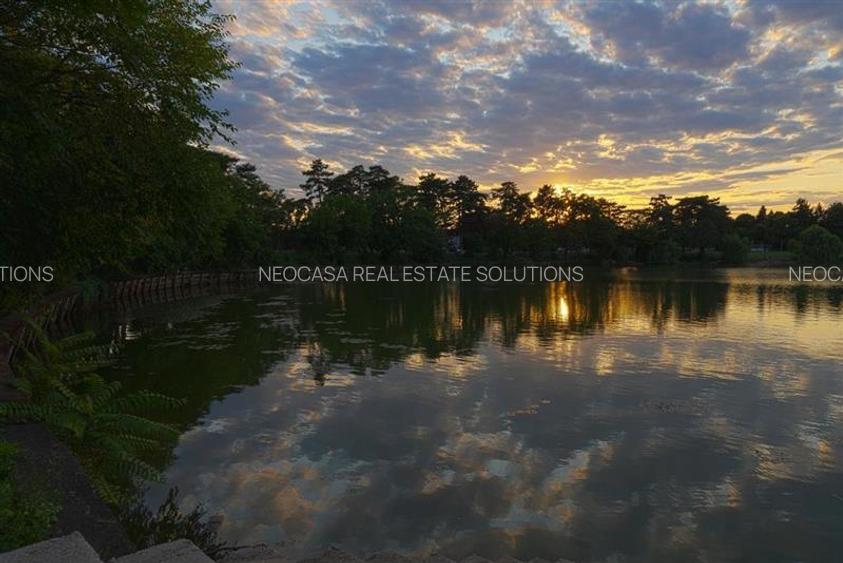 VILA MEDITERANEANA CU VEDERE LA LAC BUFTEA, PALATUL STIRBEY - 37