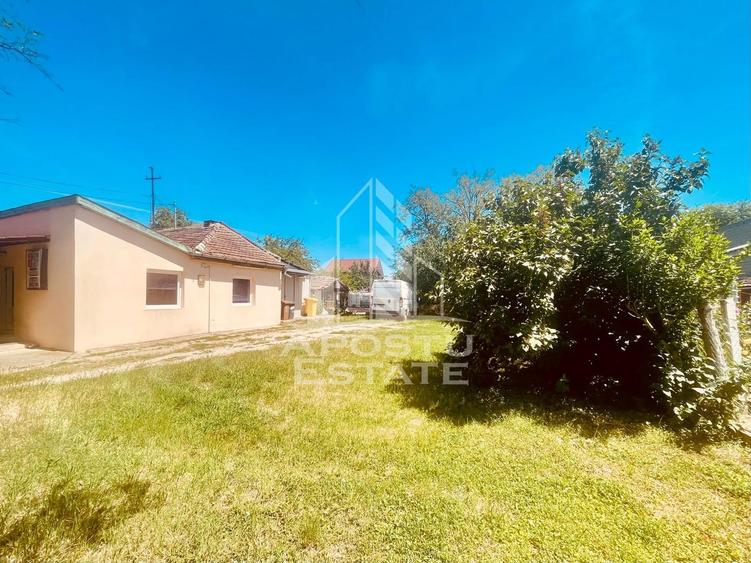 Spatiu birouri - zona Alfa, Penny