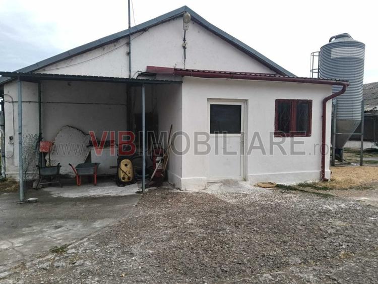 Ferma avicola pe profit, judetul Bihor-Oradea