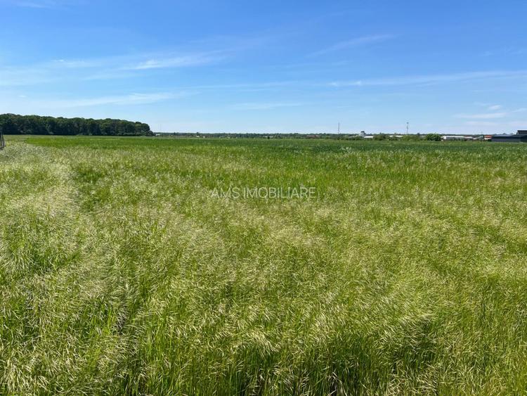 LOT TEREN INTRAVILAN / INVESTITIE / PRETABIL CONSTRUCTIE CASA VACANTA/LOCUIT - 3