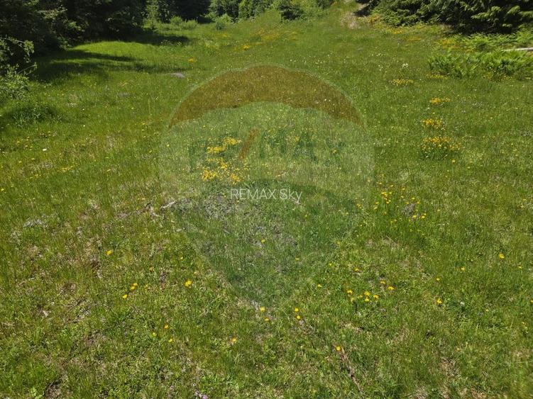Teren intravilan Arieseni | Oportunitate de Investiție - 8