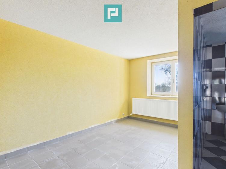 Casă cu 8 camere pentru investiții în Maciova CS