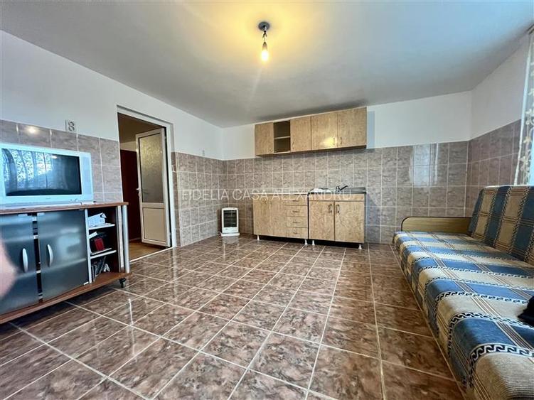 Casa cu 3 camere, 250mp de teren, de vanzare in Valea Adanca - 3