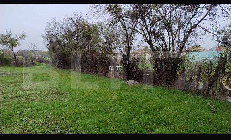 Ocazie investiție! Teren intravilan cu acces stradal, Petresti Dambovita - 4