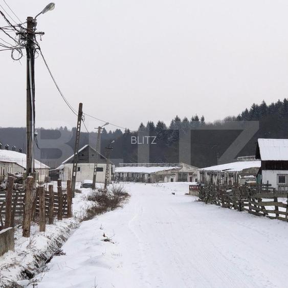 Teren intravilan de vânzare, 92.545 mp, zona Geamăna, Codlea - 6