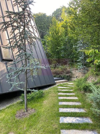 Cabane A frame + Teren 6000 mp |  Proprietate deosebita, NOU - 21